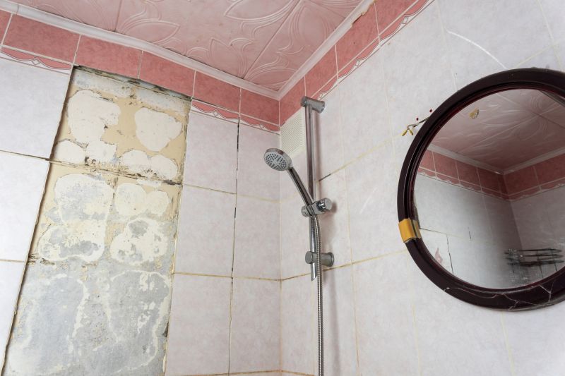 Shower Tile Regrouting